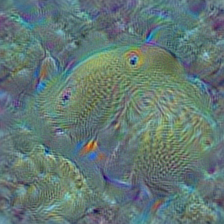 n01914609 sea anemone, anemone